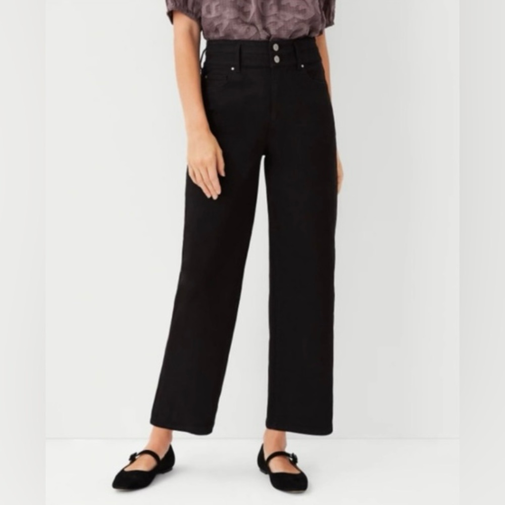 ANN TAYLOR Black Wide-Leg Ankle Jean (10)